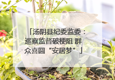 汤阴县纪委监委：巡察监督破梗阻 群众喜圆“安居梦”