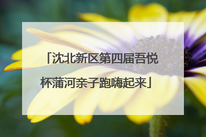 沈北新区第四届吾悦杯蒲河亲子跑嗨起来