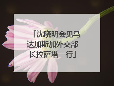 沈晓明会见马达加斯加外交部长拉萨塔一行