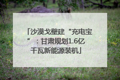 沙漠戈壁建“充电宝”：甘肃规划1.6亿千瓦新能源装机