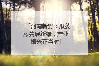 河南新野：瓜蒌藤蔓展新绿，产业振兴正当时