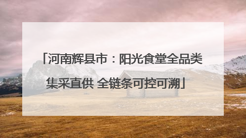 河南辉县市：阳光食堂全品类集采直供 全链条可控可溯