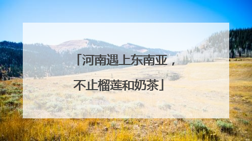河南遇上东南亚，不止榴莲和奶茶