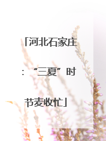 河北石家庄：“三夏”时节麦收忙