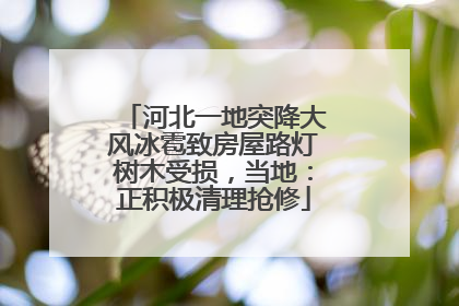 河北一地突降大风冰雹致房屋路灯树木受损，当地：正积极清理抢修