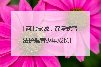 河北宽城：沉浸式普法护航青少年成长