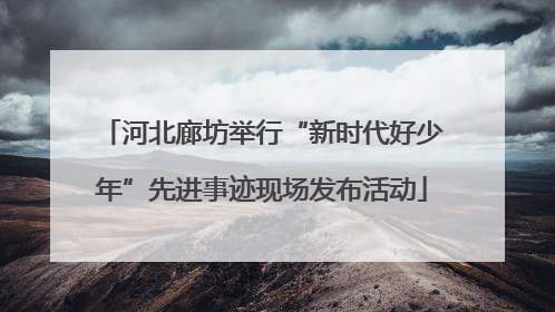 河北廊坊举行“新时代好少年”先进事迹现场发布活动