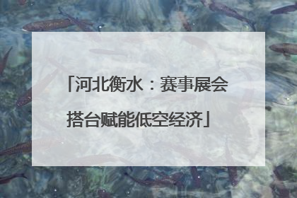 河北衡水：赛事展会搭台赋能低空经济
