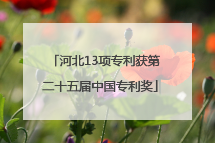 河北13项专利获第二十五届中国专利奖