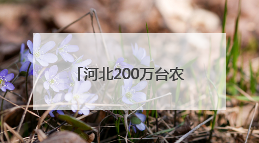 河北200万台农机备战“三夏”