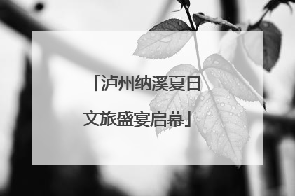 泸州纳溪夏日文旅盛宴启幕