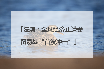 法媒：全球经济正遭受贸易战“首波冲击”