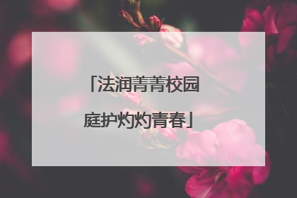 法润菁菁校园 庭护灼灼青春