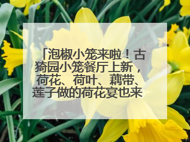 泡椒小笼来啦！古猗园小笼餐厅上新，荷花、荷叶、藕带、莲子做的荷花宴也来尝一下？