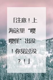 注意！上海这里“嘤嘤怪”出没！你见过没？！