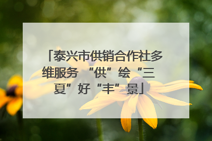 泰兴市供销合作社多维服务 “供”绘“三夏”好“丰”景