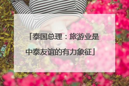 泰国总理：旅游业是中泰友谊的有力象征