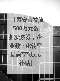 泰安市发放500万元数据要素券，企业数字化转型最高享5万元补贴