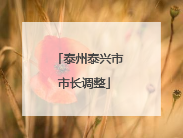 泰州泰兴市市长调整