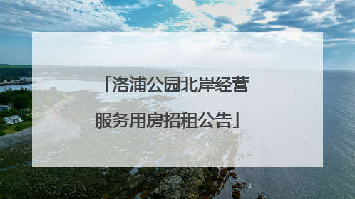 洛浦公园北岸经营服务用房招租公告