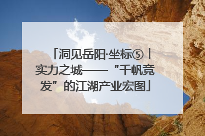 洞见岳阳·坐标⑤丨实力之城——“千帆竞发”的江湖产业宏图
