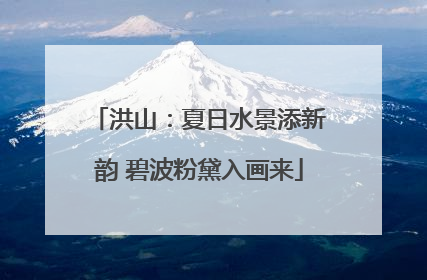 洪山：夏日水景添新韵 碧波粉黛入画来