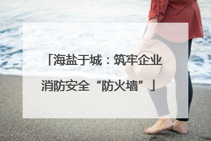 海盐于城：筑牢企业消防安全“防火墙”