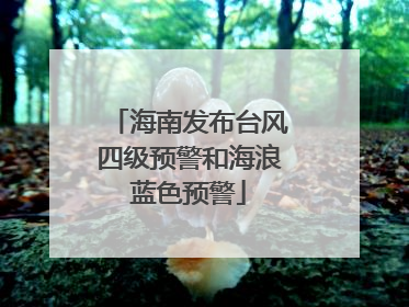 海南发布台风四级预警和海浪蓝色预警