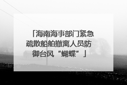 海南海事部门紧急疏散船舶撤离人员防御台风“蝴蝶”