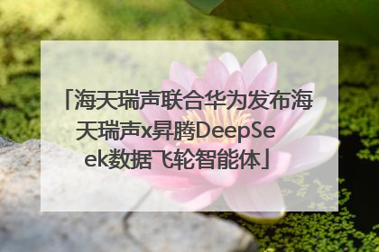 海天瑞声联合华为发布海天瑞声x昇腾DeepSeek数据飞轮智能体