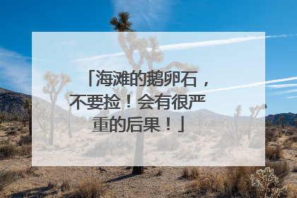 海滩的鹅卵石，不要捡！会有很严重的后果！