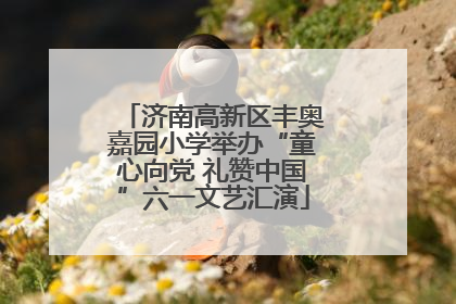 济南高新区丰奥嘉园小学举办“童心向党 礼赞中国”六一文艺汇演