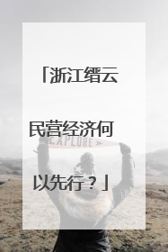 浙江缙云民营经济何以先行？
