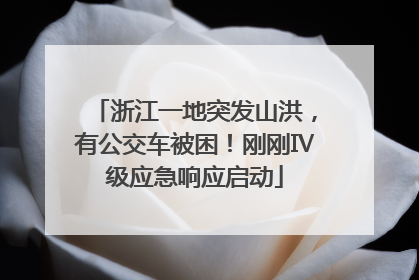 浙江一地突发山洪，有公交车被困！刚刚Ⅳ级应急响应启动