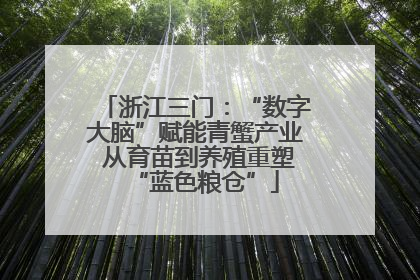 浙江三门：“数字大脑”赋能青蟹产业 从育苗到养殖重塑“蓝色粮仓”