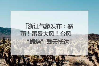 浙江气象发布：暴雨！雷暴大风！台风“蝴蝶”残云抵达
