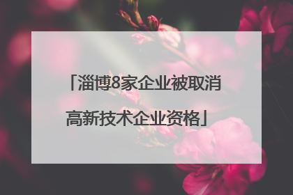 淄博8家企业被取消高新技术企业资格