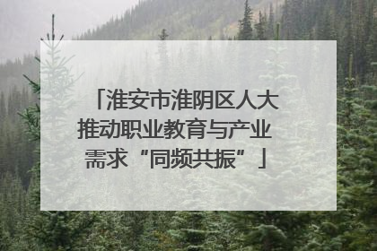 淮安市淮阴区人大推动职业教育与产业需求“同频共振”