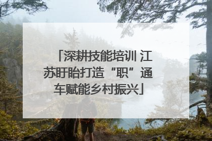 深耕技能培训 江苏盱眙打造“职”通车赋能乡村振兴