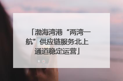 渤海湾港“两湾一航”供应链服务北上通道稳定运营