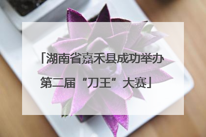 湖南省嘉禾县成功举办第二届“刀王”大赛