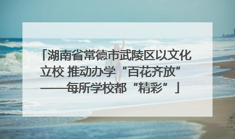 湖南省常德市武陵区以文化立校 推动办学“百花齐放”——每所学校都“精彩”