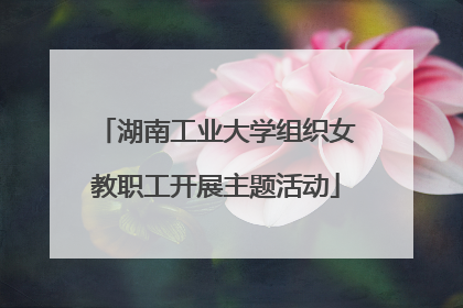 湖南工业大学组织女教职工开展主题活动