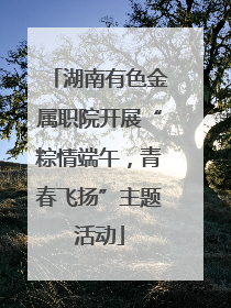 湖南有色金属职院开展“粽情端午，青春飞扬”主题活动