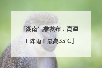 湖南气象发布：高温！阵雨！最高35℃