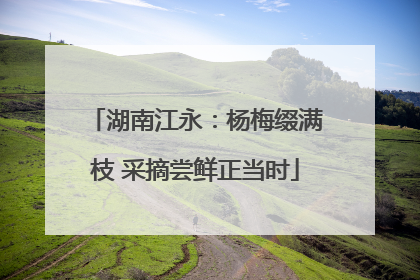 湖南江永：杨梅缀满枝 采摘尝鲜正当时