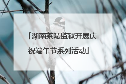 湖南茶陵监狱开展庆祝端午节系列活动