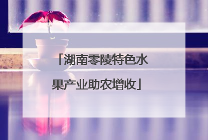 湖南零陵特色水果产业助农增收