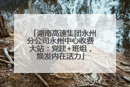 湖南高速集团永州分公司永州中心收费大站：党建+班组，焕发内在活力