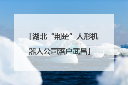 湖北“荆楚”人形机器人公司落户武昌